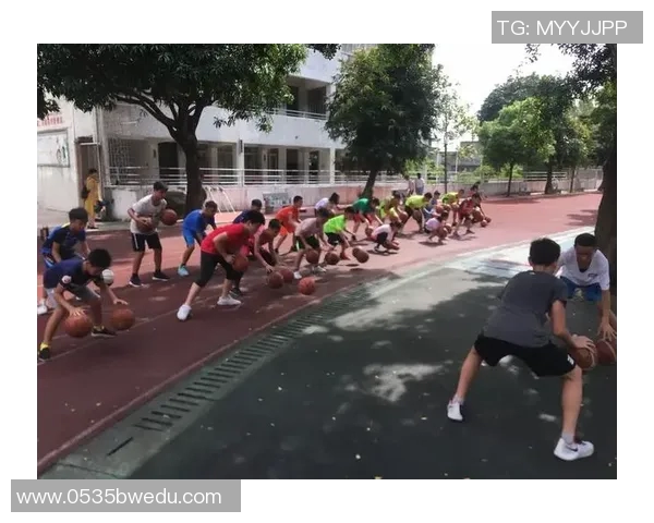 广州飞盘队勇攀高峰的奋斗故事与联赛精彩瞬间揭秘