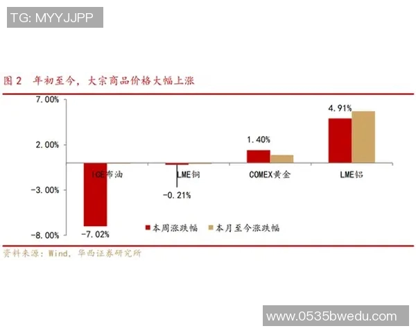 成都飞盘队进攻策略分析与得失总结探讨
